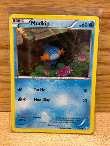 Mudkip(Holo)