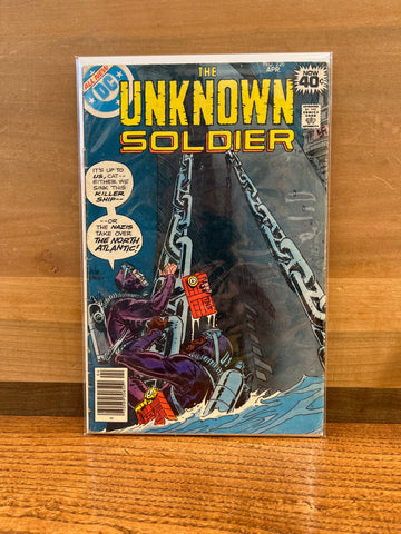 Unknown Soldier #226