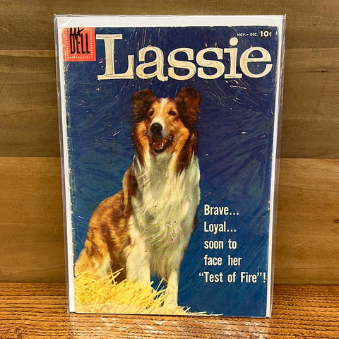 Lassie #37