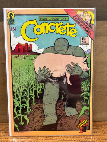 Concrete #6