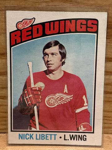 Bill Hogaboam(1976) O Pee Chee #73