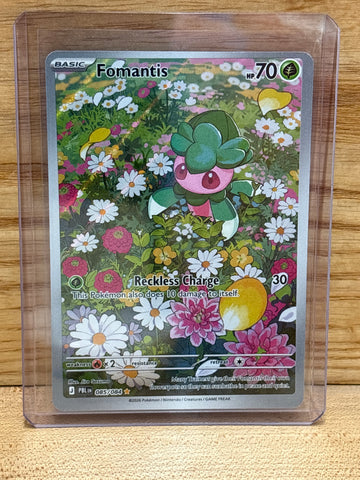 Fomantis(IR)