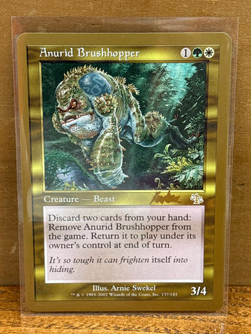 Anurid Brushhopper(Brian Kibler)