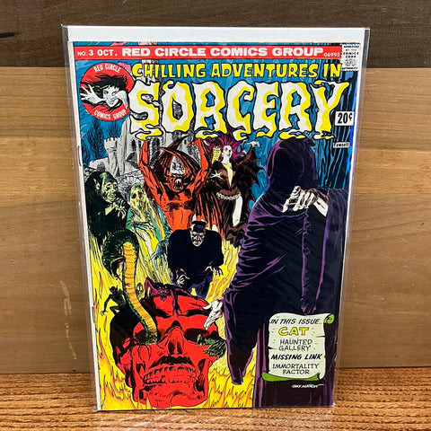 Chilling Adventures in Sorcery #3
