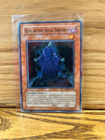 King of the Skull Servants