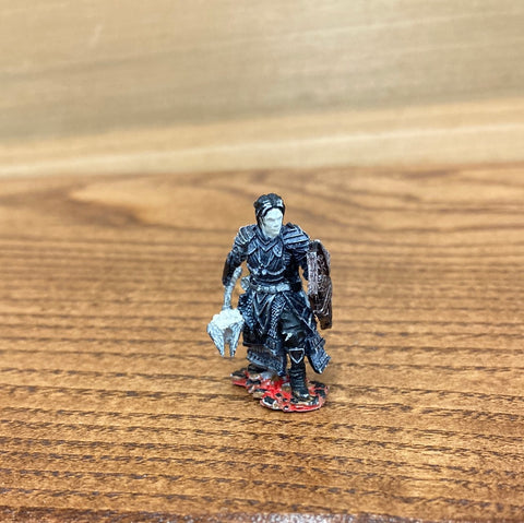 Twilight Human Cleric/Paladin