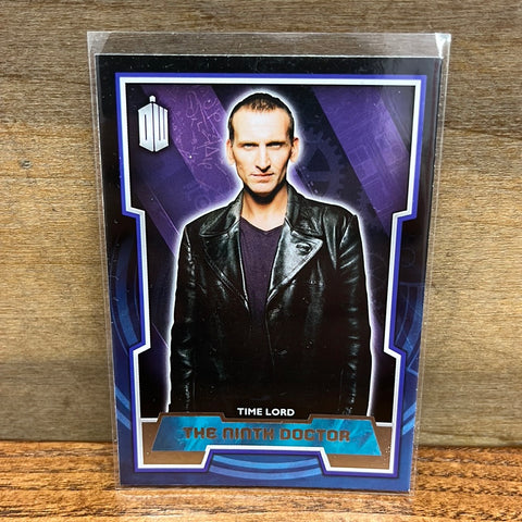The Ninth Doctor