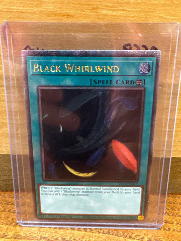 Black Whirlwind