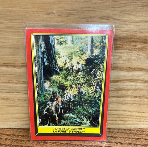 Forest of Endor #68