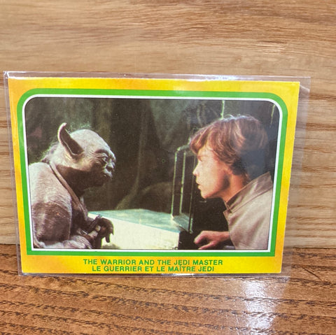 The Warrior and the Jedi Master #332