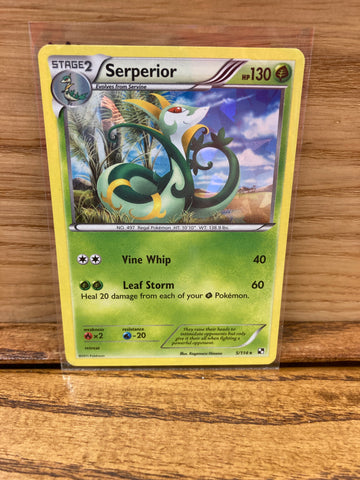 Serperior(Cracked Ice Holo)