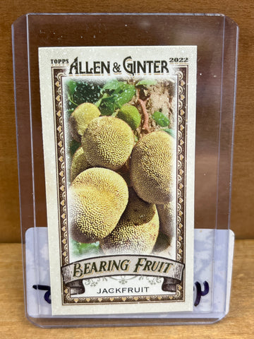 Jackfruit(2022) Topps Allen & Ginter #BF-10