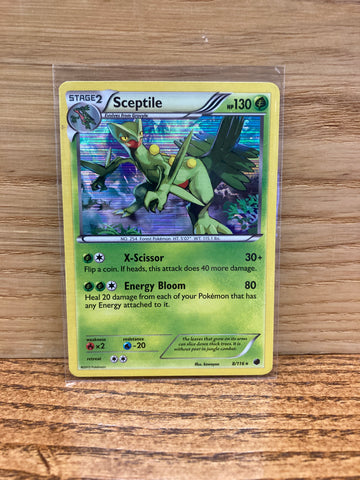 Sceptile(Holo)