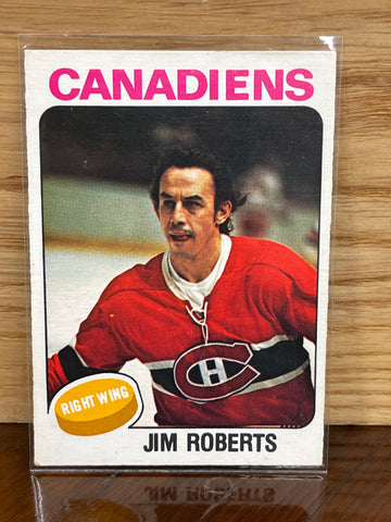 Jim Roberts(1975/76)OPeeChee #378