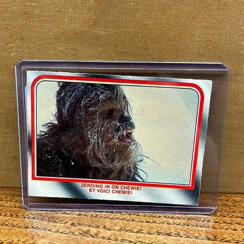Zeroing on Chewie #31