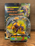 Cheetor: Beast Wars Transmetal 2