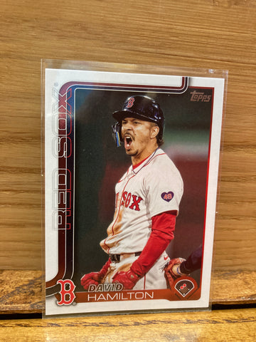 David Hamilton(2025) Topps S1 #199