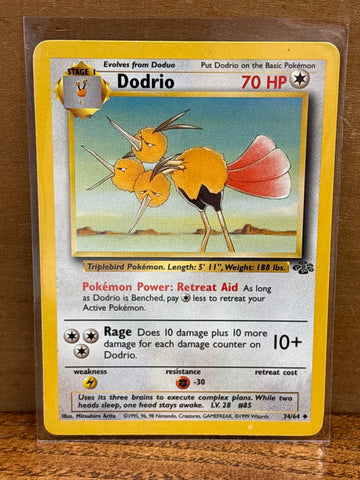 Dodrio
