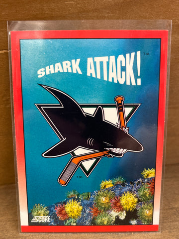 San Jose Sharks(1991) Score #304