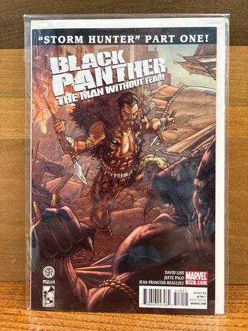 Black Panther: The Man Without Fear #519
