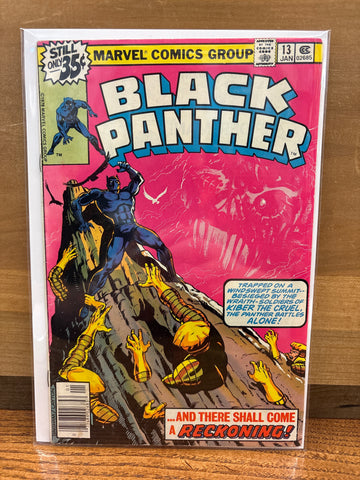 Black Panther #13