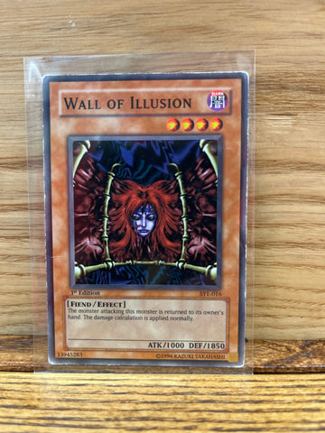 Wall of Illusion