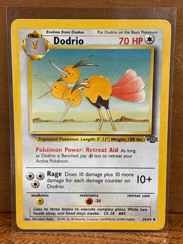 Dodrio