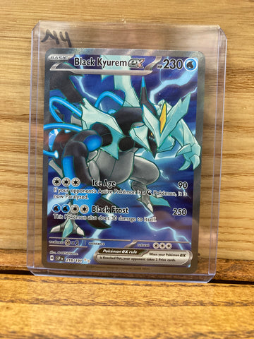 Black Kyurem ex(Full Art)