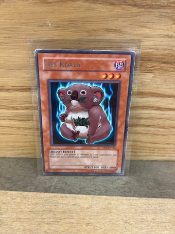 Des Koala(Rare)