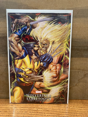 Wolverine #17(Variant)