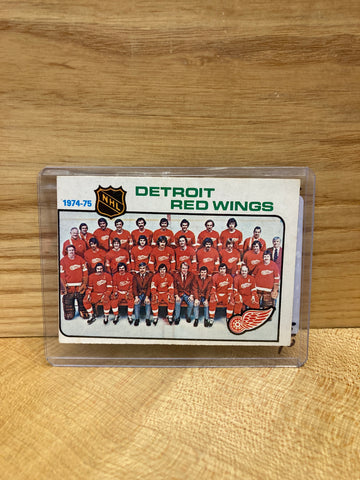 Detroit Red Wings Team Portrait(1974) O Pee Chee #267