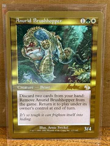 Anurid Brushhopper(Brian Kibler)
