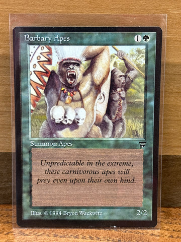 Barbary Apes