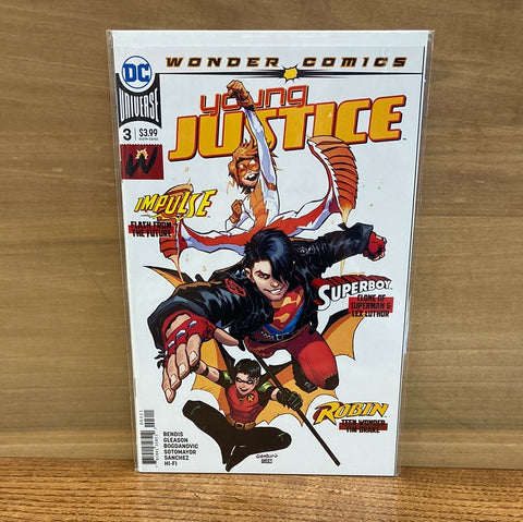 Young Justice #3