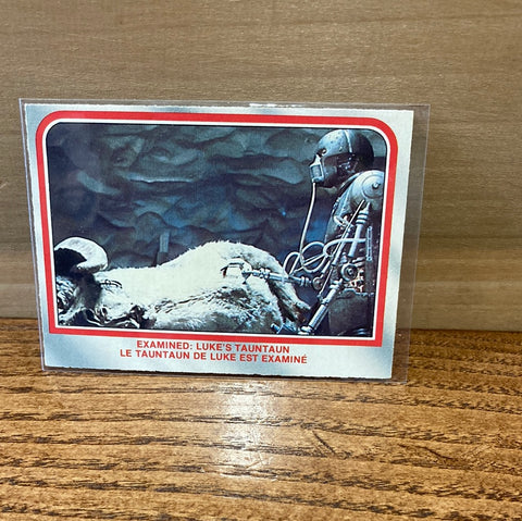 Examined: Lukes Tauntaun #21