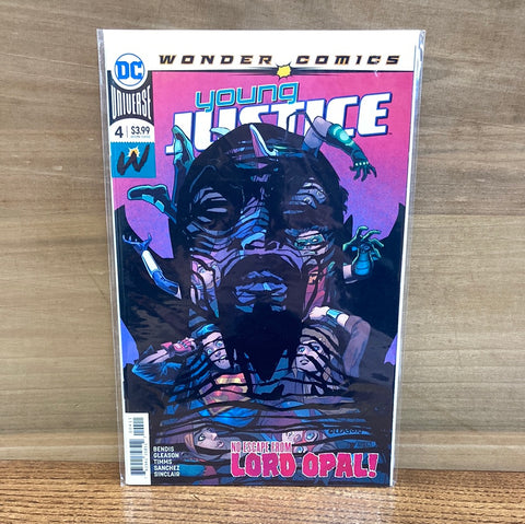 Young Justice #4