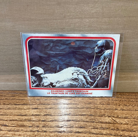 Examined: Lukes Tauntaun #21