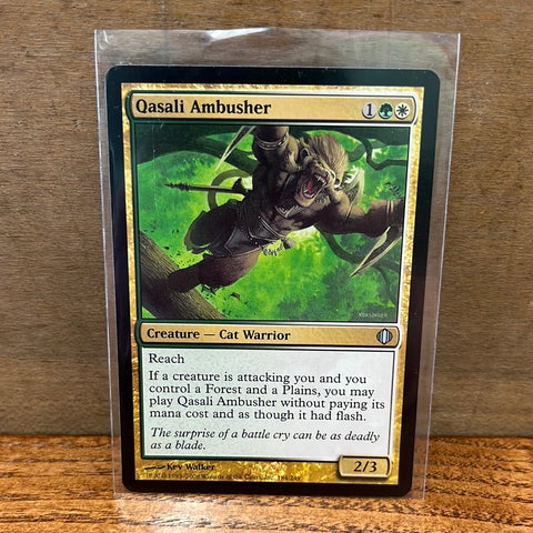 Qasali Ambusher