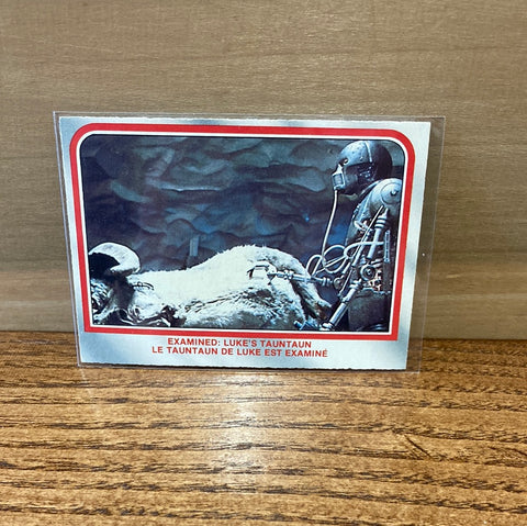 Examined: Lukes Tauntaun #21