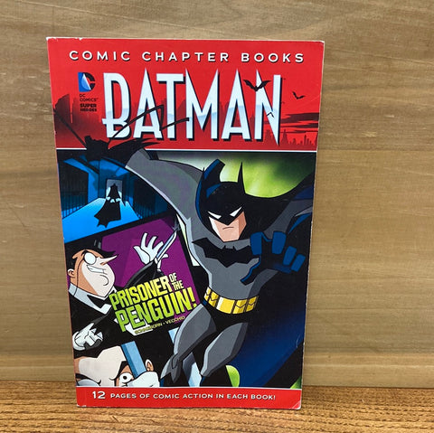 Batman: Comic Chapter Book