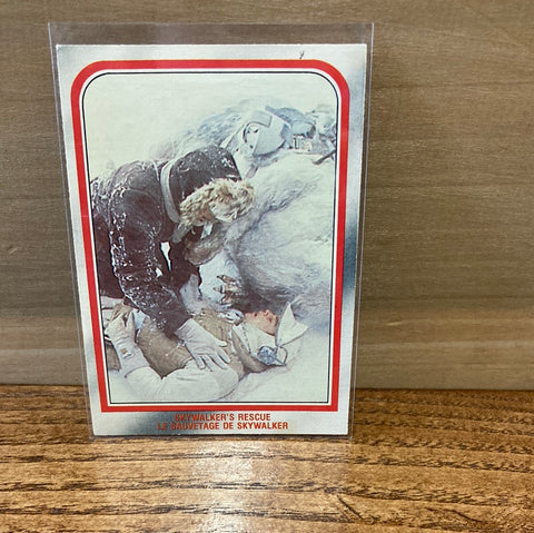 Skywalker's Rescue #25