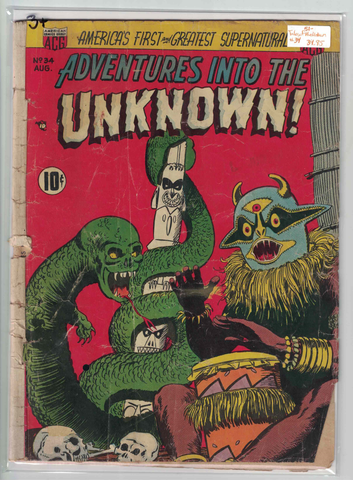 Adventure's Into the Unknown #34