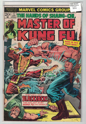 Master of Kung Fu #17