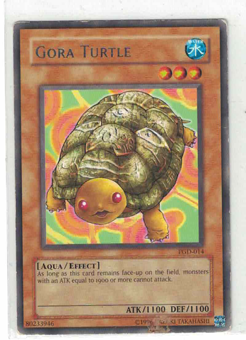Gora Turtle