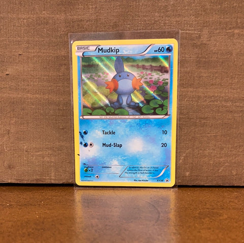 Mudkip(Holo)