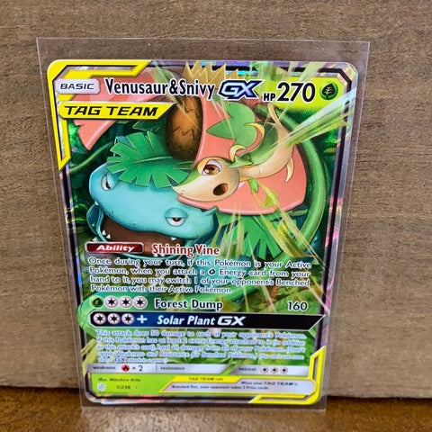 Venusaur & Snivy GX