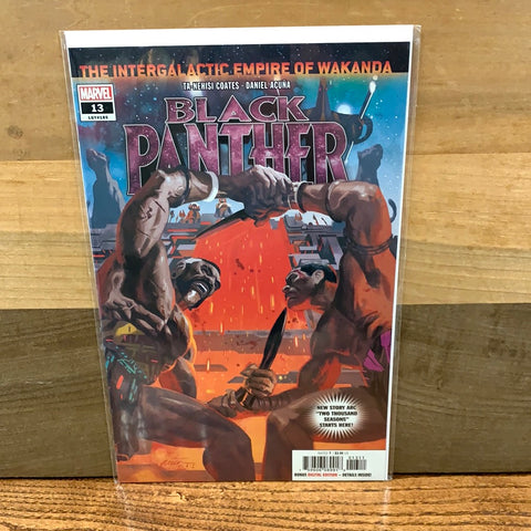 Black Panther #13