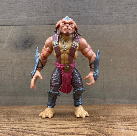 Archer(Gorgonite Leader)