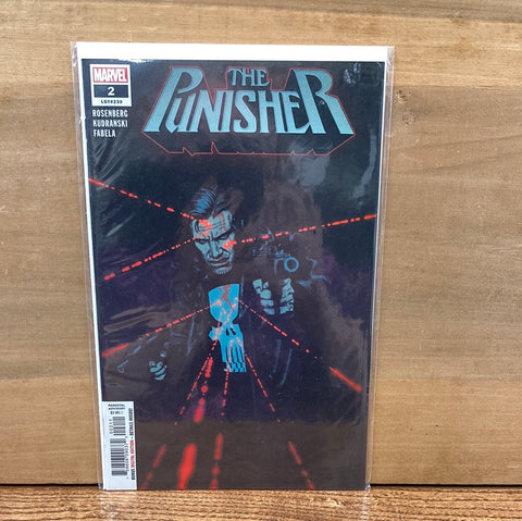 Punisher #2