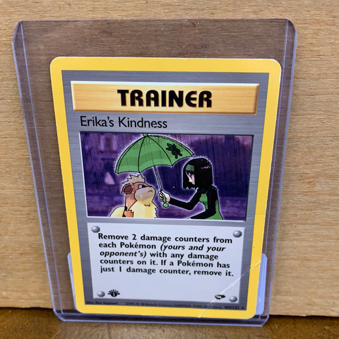 Erika's Kindness(1st Edition)